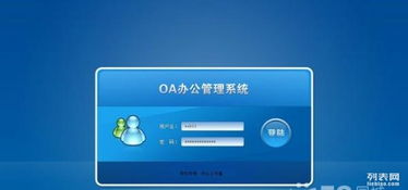 軟件外包與定制開發 從電子商城到企業網站的全面指南